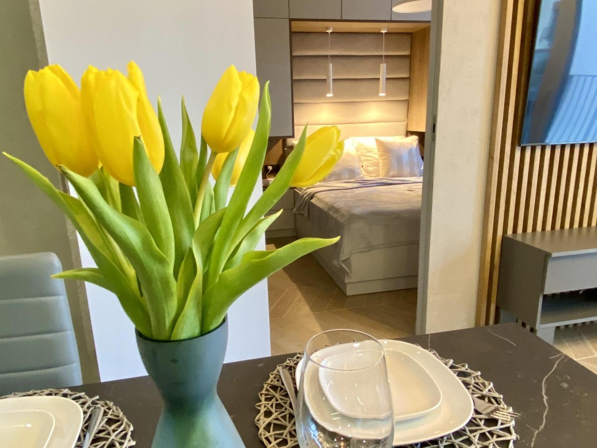 Apartamento Grey House + Free Parking Breslavia Exterior foto